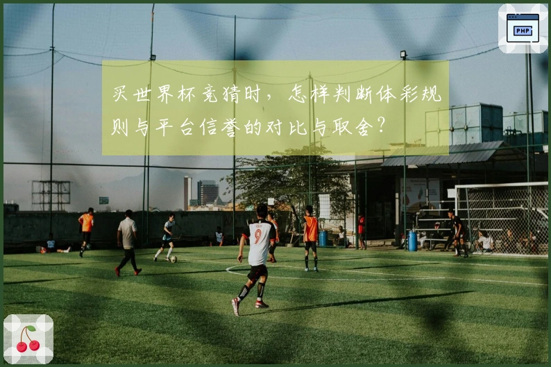 买世界杯竞猜时，怎样判断体彩规则与平台信誉的对比与取舍？