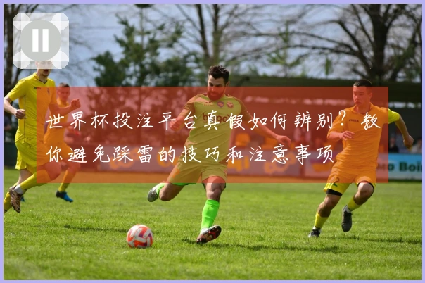 世界杯投注平台真假如何辨别？教你避免踩雷的技巧和注意事项