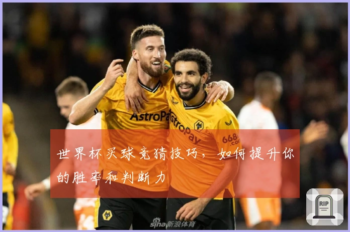 世界杯买球竞猜技巧，如何提升你的胜率和判断力