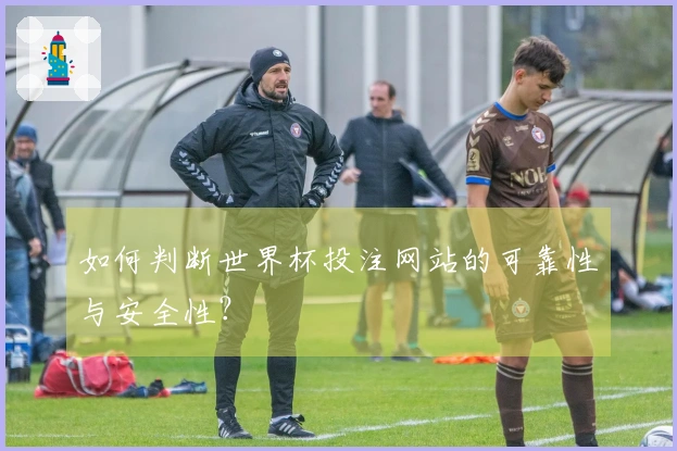 如何判断世界杯投注网站的可靠性与安全性？