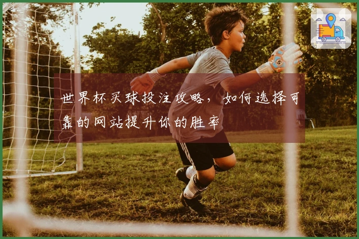 世界杯买球投注攻略,如何选择可靠的网站提升你的胜率