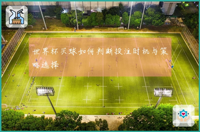 世界杯买球如何判断投注时机与策略选择