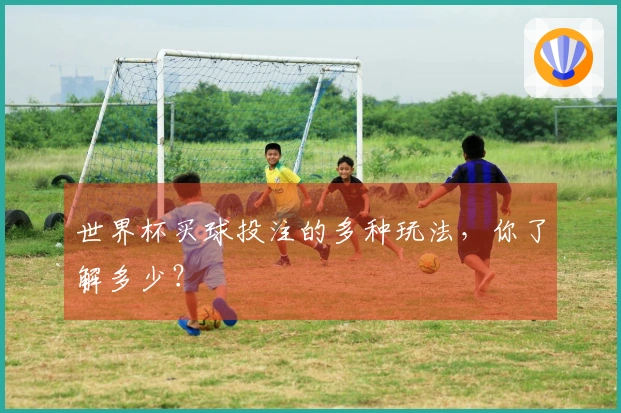 世界杯买球投注的多种玩法，你了解多少？