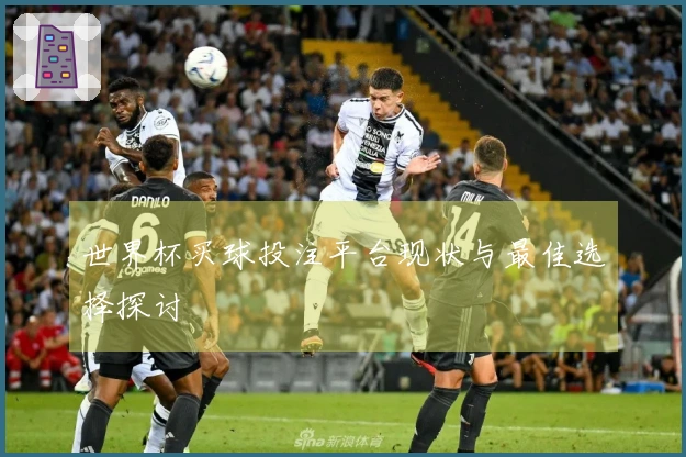 世界杯买球投注平台现状与最佳选择探讨