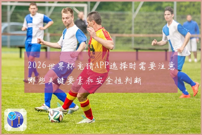 2026世界杯竞猜APP选择时需要注意哪些关键要素和安全性判断