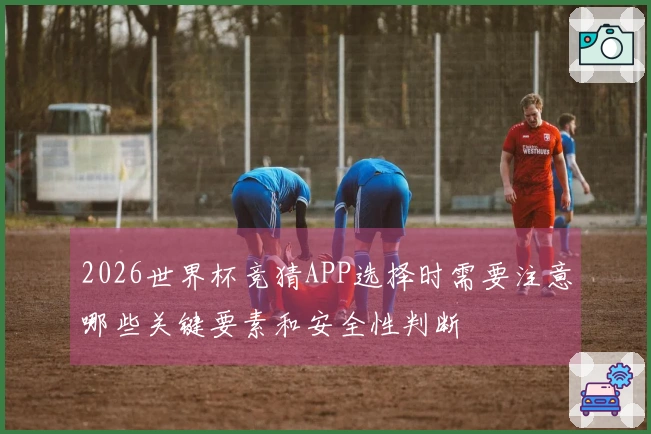 2026世界杯竞猜APP选择时需要注意哪些关键要素和安全性判断