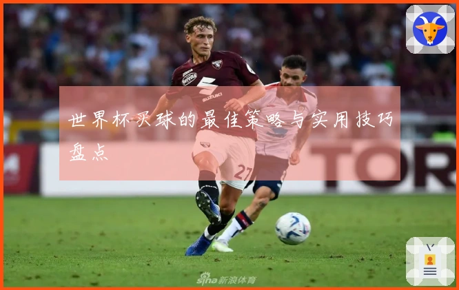 世界杯买球的最佳策略与实用技巧盘点