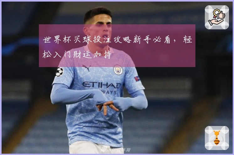 世界杯买球投注攻略新手必看，轻松入门财运加持
