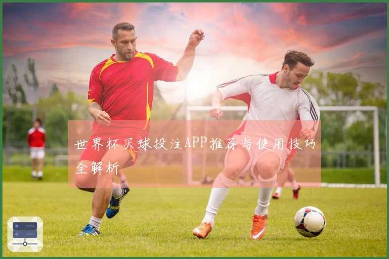 世界杯买球投注APP推荐与使用技巧全解析