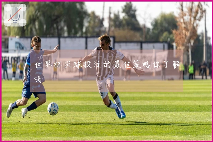 世界杯买球投注的最佳策略你了解吗