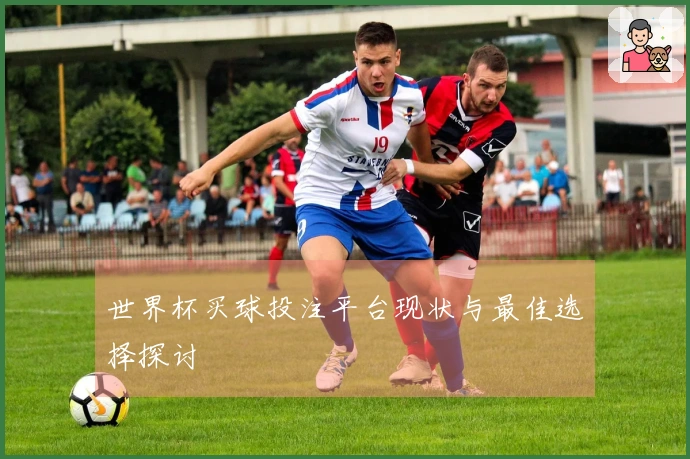 世界杯买球投注平台现状与最佳选择探讨