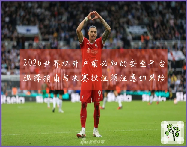 2026世界杯开户前必知的安全平台选择指南与决赛投注须注意的风险分析