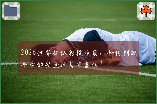 2026世界杯体彩投注前，如何判断平台的安全性与可靠性？