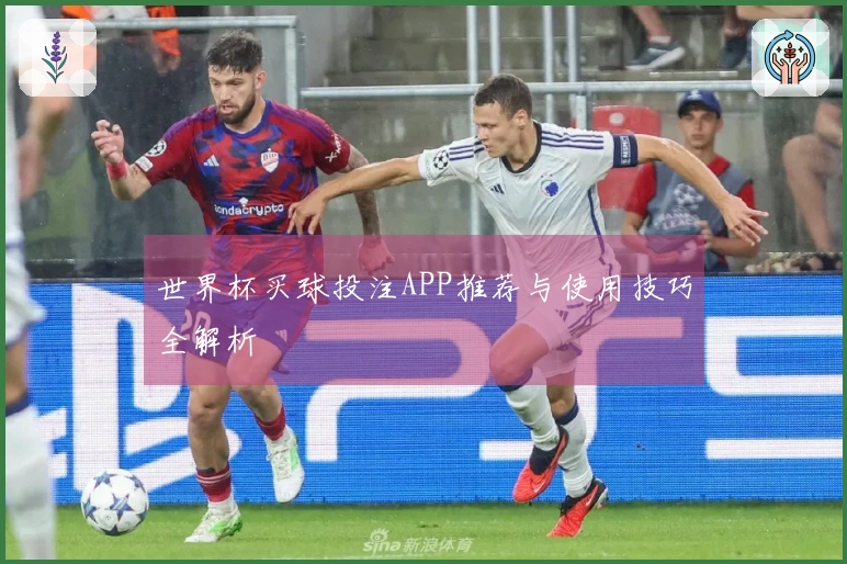 世界杯买球投注APP推荐与使用技巧全解析
