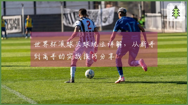 世界杯滚球买球玩法详解,从新手到高手的实战技巧分享
