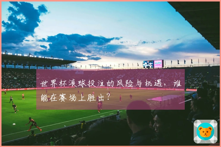 世界杯滚球投注的风险与机遇，谁能在赛场上胜出？