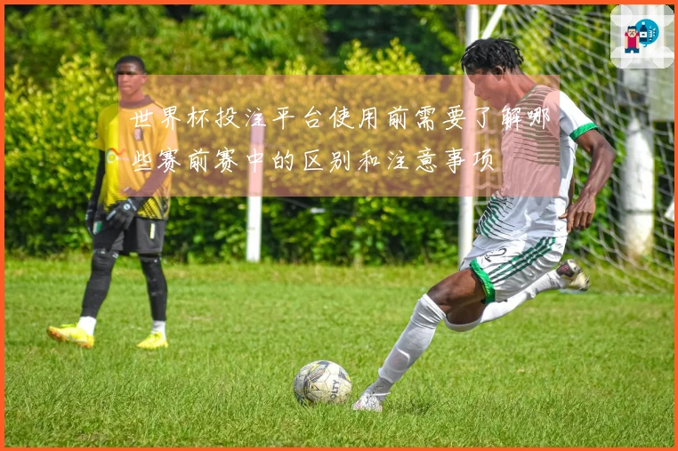 世界杯投注平台使用前需要了解哪些赛前赛中的区别和注意事项
