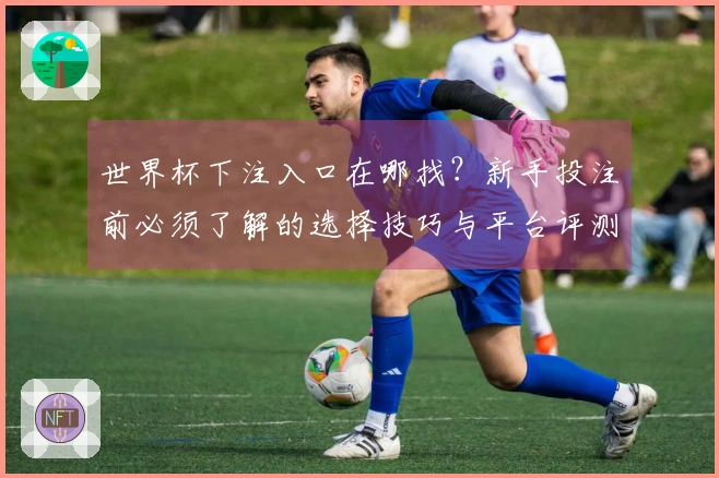 世界杯下注入口在哪找？新手投注前必须了解的选择技巧与平台评测