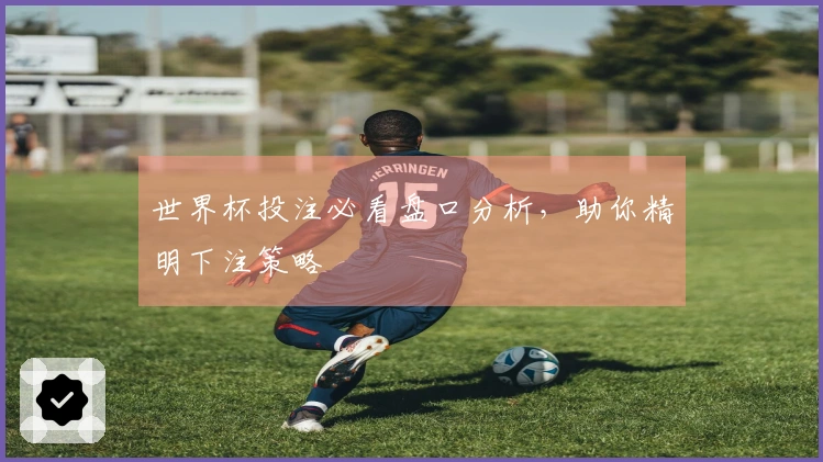 世界杯投注必看盘口分析，助你精明下注策略
