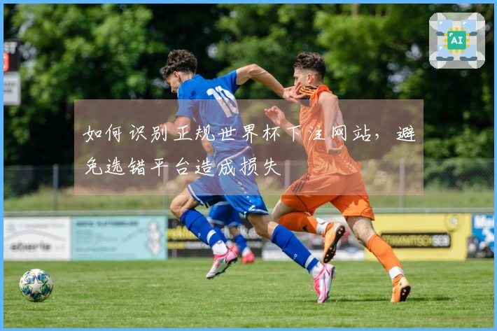 如何识别正规世界杯下注网站，避免选错平台造成损失