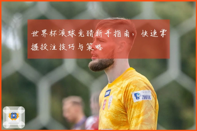 世界杯滚球竞猜新手指南，快速掌握投注技巧与策略