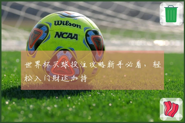 世界杯买球投注攻略新手必看，轻松入门财运加持
