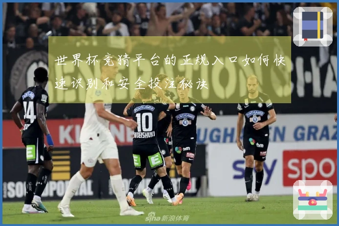 世界杯竞猜平台的正规入口如何快速识别和安全投注秘诀