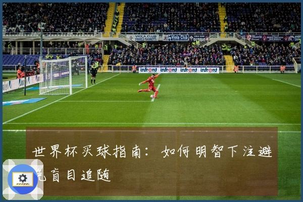 世界杯买球指南：如何明智下注避免盲目追随