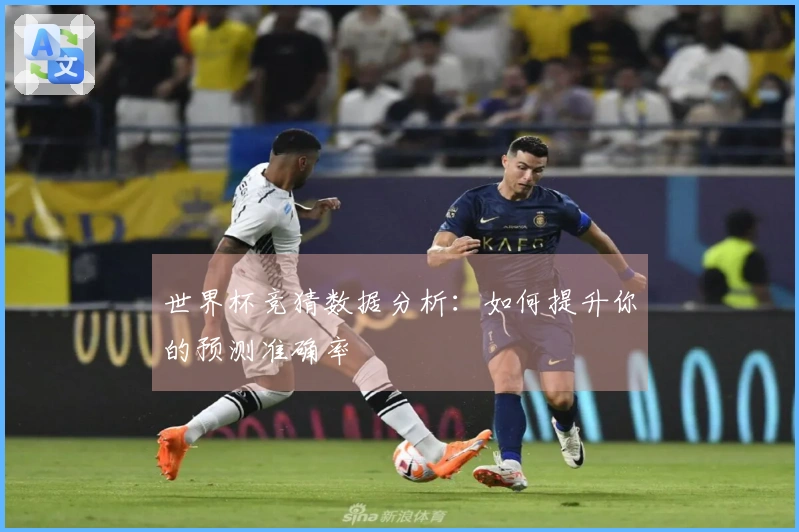 世界杯竞猜数据分析：如何提升你的预测准确率