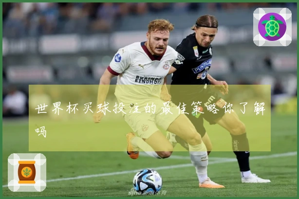 世界杯买球投注的最佳策略你了解吗