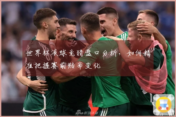 世界杯滚球竞猜盘口分析，如何精准把握赛前赔率变化