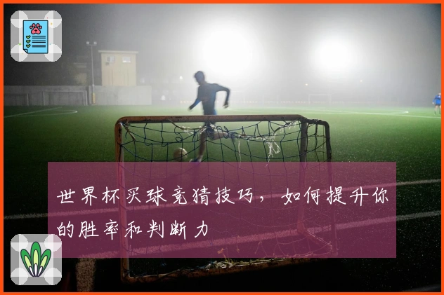 世界杯买球竞猜技巧，如何提升你的胜率和判断力