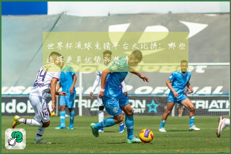 世界杯滚球竞猜平台大比拼:哪些选择更具优势和潜力