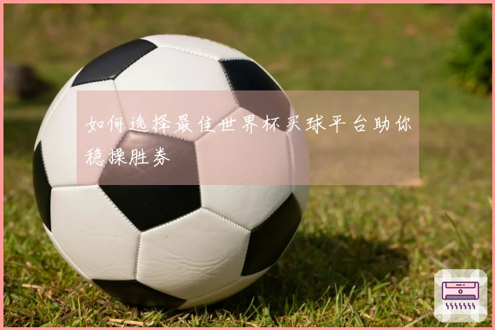 如何选择最佳世界杯买球平台助你稳操胜券